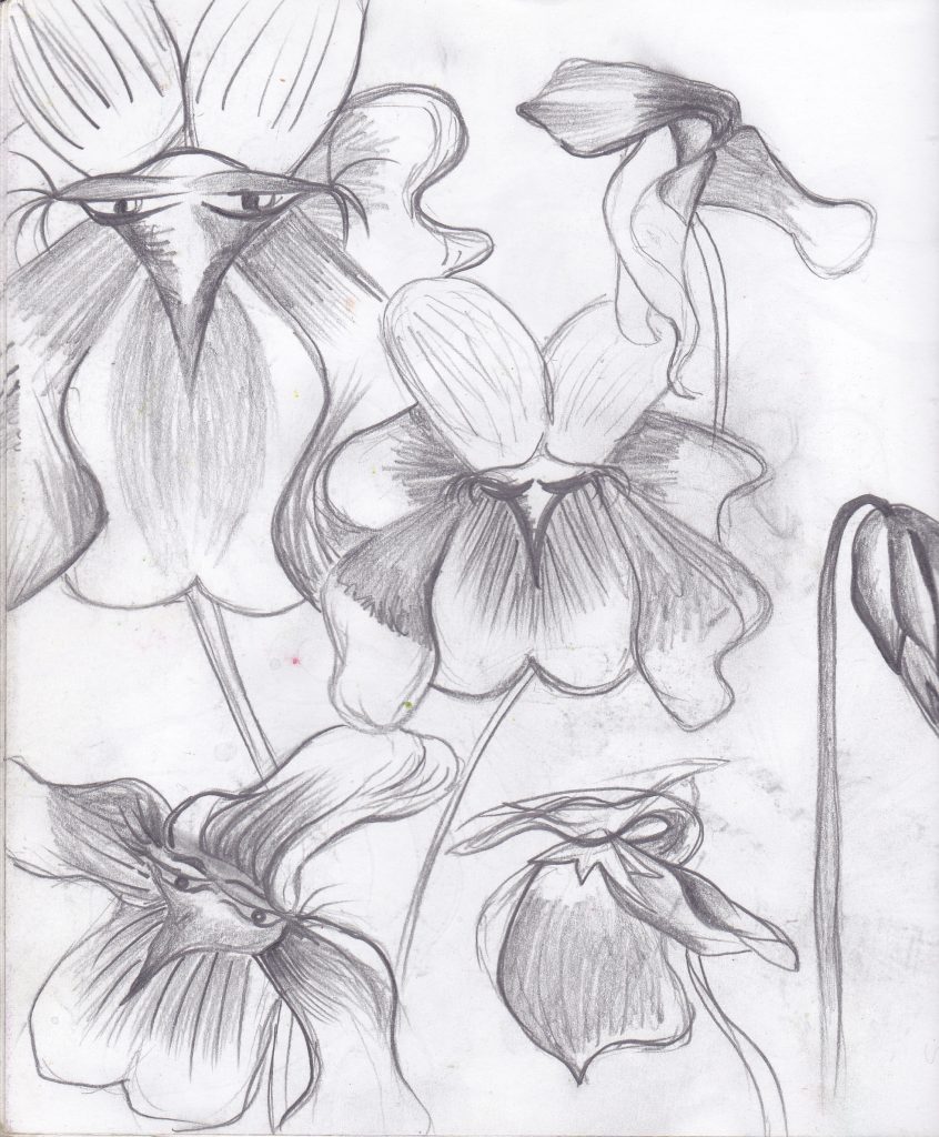 Flowers Sketch